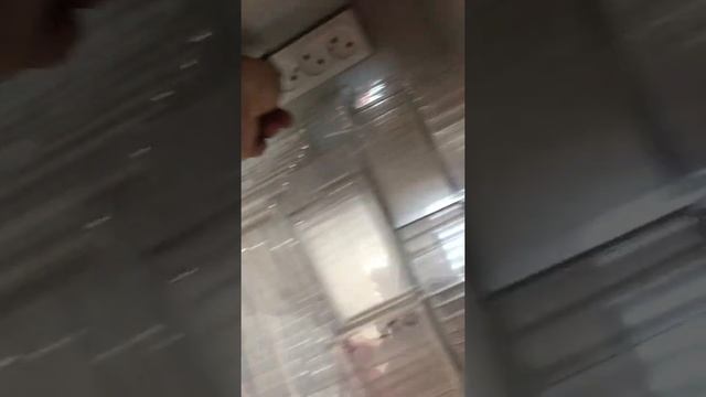 Bosh смотреть онлайн