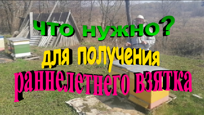 Что нужно для получения ранневесеннего взятка смотреть онлайн