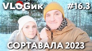 VLOGик#16.3. НА ЛАСТОЧКЕ В КАРЕЛИЮ. СОРТАВАЛА ЗИМОЙ. ПАРК ВАККОСАЛМИ. КАФЕ АКУЛОВКА. ОБЗОР ГОРОДА.