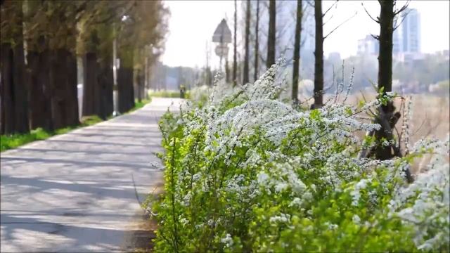 За велосипед в подъезде владельцам грозит штраф до 50 тысяч рублей смотреть онлайн