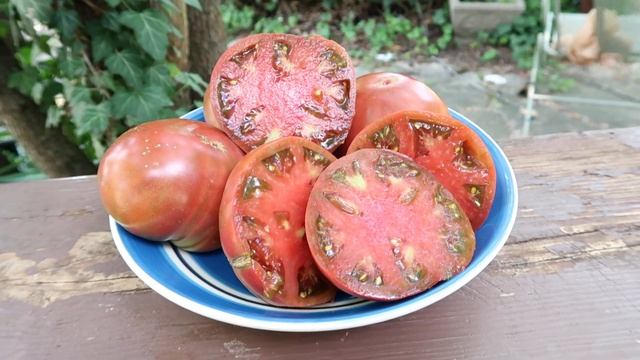 Vorlon Tomato, One Of The Best Black Varieties! смотреть онлайн