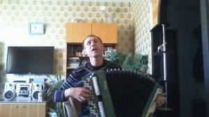 Ой вы гуси,вы серые гуси под баян