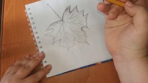 Каникулярный урок 1 - Кленовый лист в графике (штриховка)