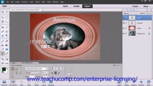 Adobe Photoshop Elements 12 Tutorial Text Employee Group Training 11.1