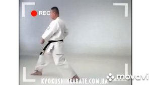 для сдачи ката на 10 кю кюкушин каратэ.