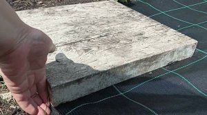 мы определились с укрытием. междурядий в пользу агротекстиль заместо задернения.