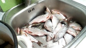 Сухой посол рыбы (тарань).