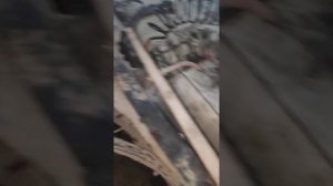 Даф 105 моховик и выжимной