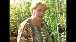 Секреты огородницы Татьяны Рабкановой