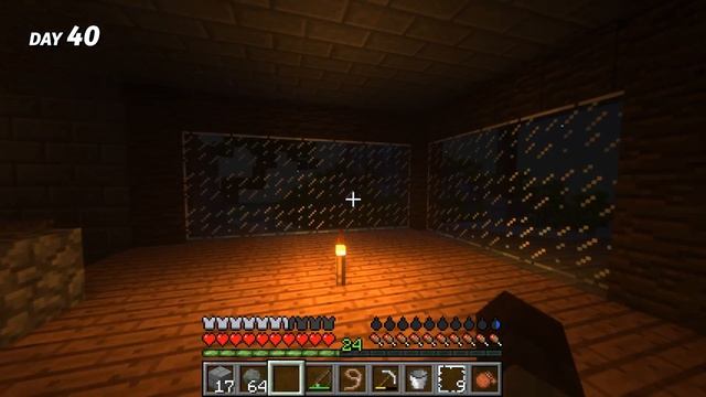 I Survived 100 Days on a Deserted Island in Hardcore Minecraft