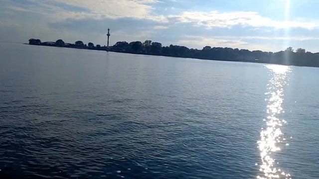 ПТИЦЫ РАЗРУШИЛИ ВСЕ ПЛАНЫ..г.Балтийск,Калининградская область.. #балтийскоеморе #балтийск