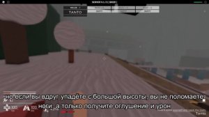 Decaying Winter Гайд по Arbiter