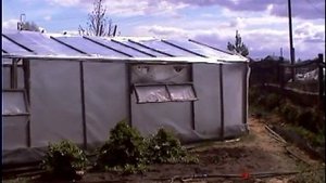 Теплица для помидоро