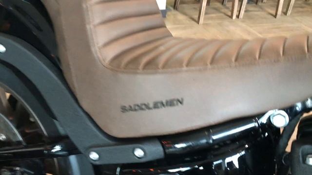 Low Rider S Harley-Davidson 2020 M/Y смотреть онлайн