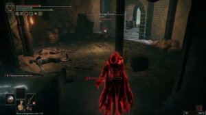 Сшиватель божественной кожи  Elden Ring