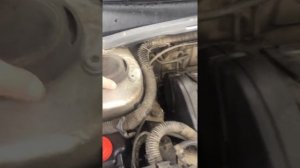 Обзор Пежо 406(ньюансы)