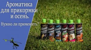 Рыбалка на фидер осенью. Ароматика в прикормке по холодной воде. О чем нужно помнить рыболову?