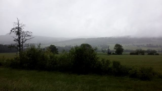 Fernie Canto - Rain and Cakes, or The Wade House Milonga (single) смотреть онлайн