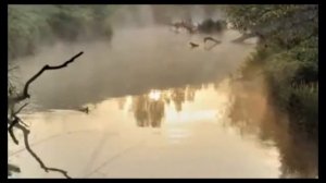 Эдуард Изместьев(А.Бандера)" За окном черемуха колышется"