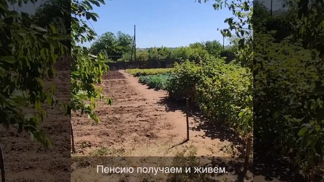 Добнасс: как пережить зиму без газа? смотреть онлайн