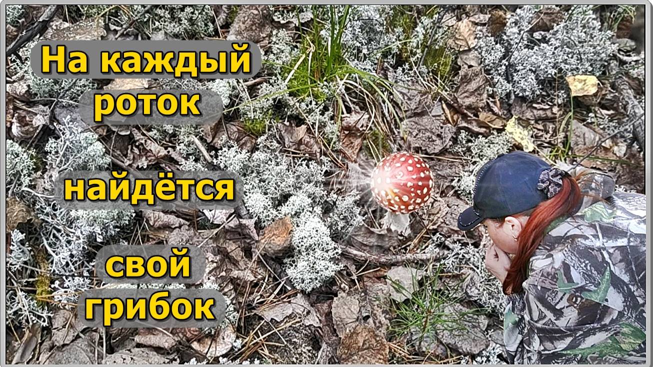 Грибы. Первый выезд.