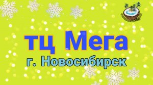 тц Мега в Новосибирске перед Новым годом?2021