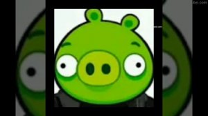 жоский павапепе гемабоди