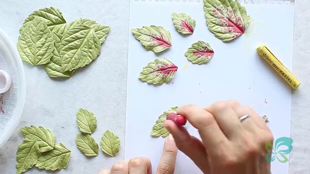 Веточки колеуса из фоамирана I Из серии мастер-классов "Очей очарованье" смотреть онлайн