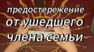 Вас направляют свыше‼️ #род #тарознак #таробудущее