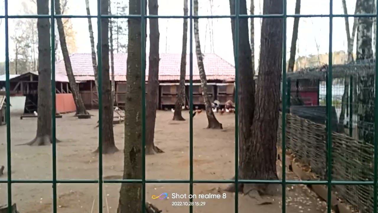 28 октября 2022 г. смотреть онлайн