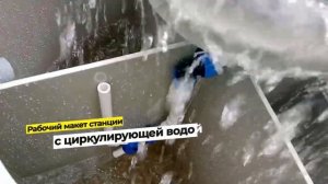 СептикСиб и Евролос на празднике топора в Сибири