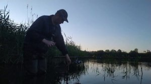 Отличная рыбалка на карася. Утренний клёв. Часть2.