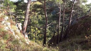 Сочи. Мацеста. Экскурсия на чайную плантацию. Орлиные скалы. Гора Ахун. КуДа ПоЕдЕм?! № 111