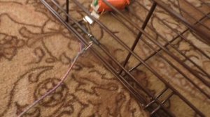 Клетка ловушка для собак улучшенная. Устройство