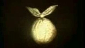 ежик в кумаре мультик