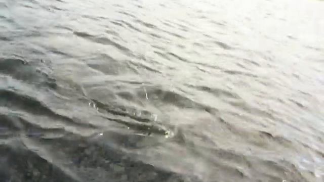 Щука  и два дурня без подсачника!)))   Северная Карелия смотреть онлайн