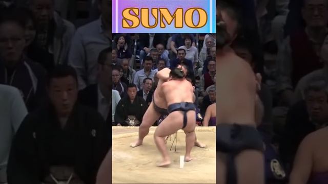 🔥Brutal Force: Sumo Wrestlers' Powerful Clashes😮#ytshort