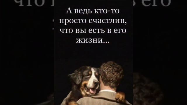 Мудрые мысли 💯 цитаты 💯 смотреть онлайн