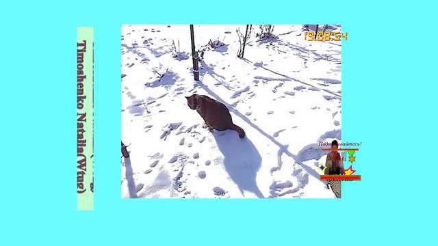 Что же делать? 12|02|2024 #Проведёмчасысчастьявместе  (78_ Н Б)