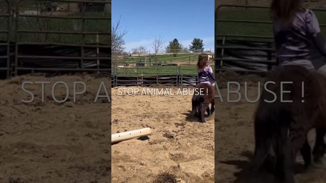 I am NOT the girl in this video I as you can see I wrote STOP ANIMAL ABUSE not do animal abuse!!!!!