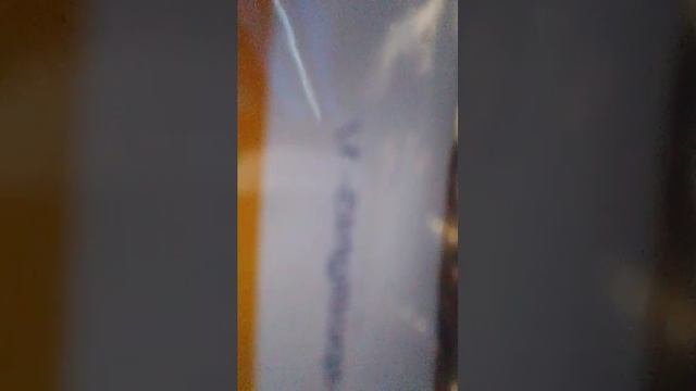 сидим на уроке смотреть онлайн