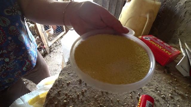 Как бороться с мухами в хозяйственных помещениях? смотреть онлайн