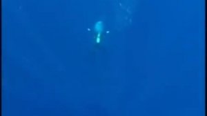 Голубая дыра (Blue Hole)