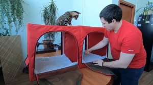 Палатка +для кошек . Клетка Кв 2.0