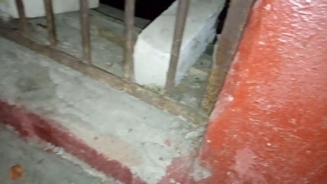 ЧЁРНЫЕ ТАРАКАНЫ АТАКУЮТ ДОМ - 2. Армия тараканов размножается! смотреть онлайн