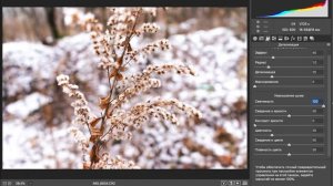Как быстро улучшишь фото в фотошопе? И как обработать raw формат в Camera Raw?
