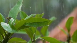 Музыка дождя.Шум дождя- фортепиано..mp4