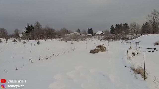 Рассвет и чудесное зимнее утро в деревне. Свой пруд на участке в деревне. Хотим сделать горку??⛷️