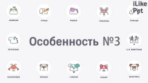 Как ухаживать за сфинксом?