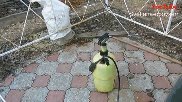 ВЕСЕННЕЕ ОПРЫСКИВАНИЕ-  КОГДА,ЧЕМ и СКОЛЬКО РАЗ..   ВАЖНО НЕ ПРОПУСТИТЬ  СРОКИ ОБРАБОТКИ....